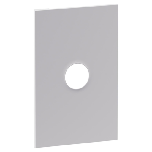 Legrand INSPYRA Single Pole 40A Switch Coverplate Matte White
