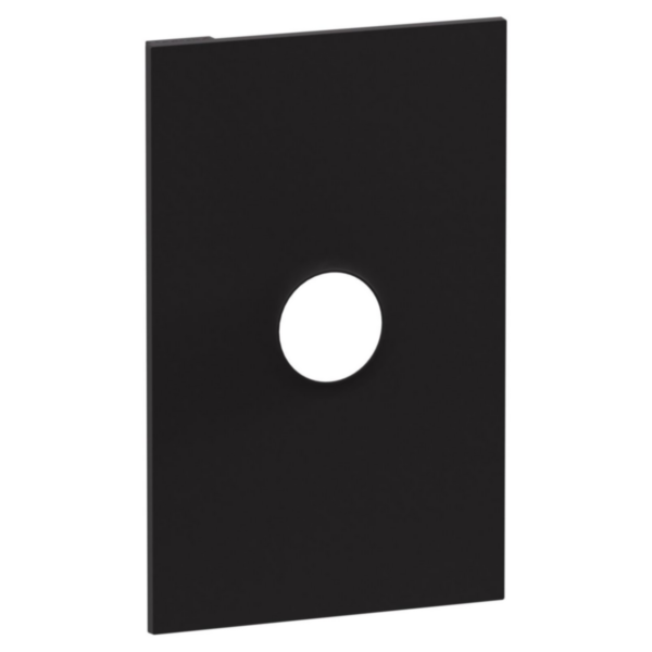 Legrand INSPYRA Single Pole 40A Switch Coverplate Matte Black
