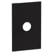 Legrand INSPYRA Single Pole 40A Switch Coverplate Matte Black