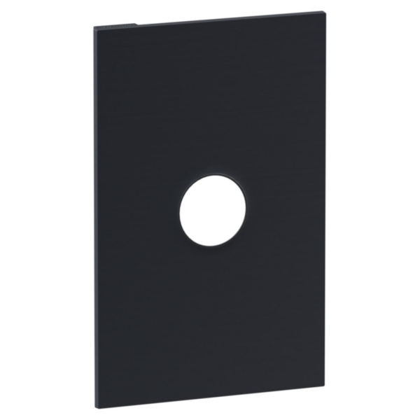 Legrand INSPYRA Single Pole 40A Switch Coverplate Matte Grey