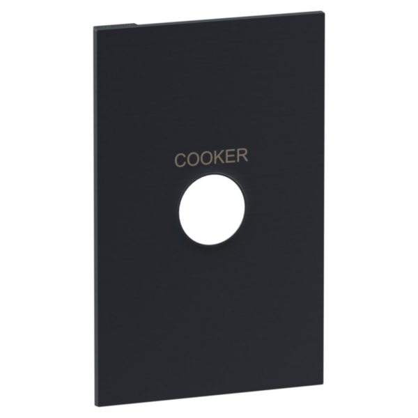Legrand INSPYRA Double Pole 40A Cooker Engraved Switch Coverplate Matte Grey