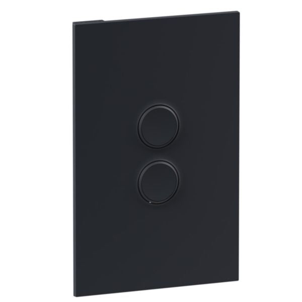 Legrand INSPYRA With Netatmo 2 Gang Smart Switch Matte Grey