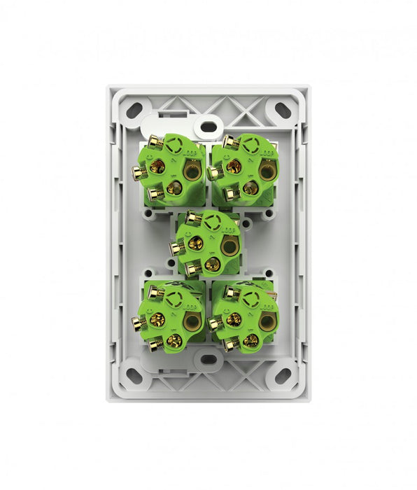 Snow Leopard 5 Gang Vertical Switch back