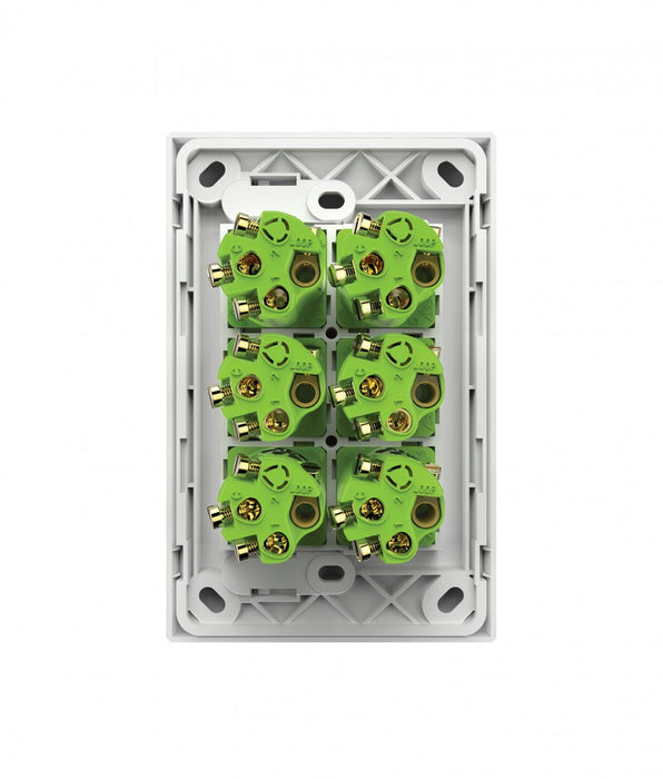 Snow Leopard 6 Gang Vertical Switch back