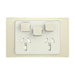 clipsal iconic styl twin powerpoint with extra switch cover only