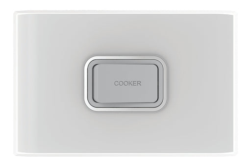 Snow Leopard 1 Gang 45a Horizontal Double Pole Cooker Switch