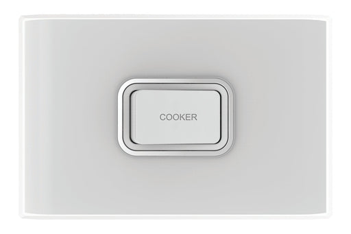 Snow Leopard 1 Gang 45a Horizontal Double Pole Cooker Switch