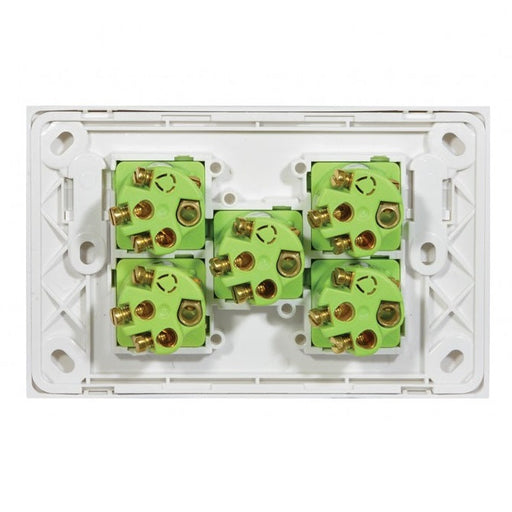 Clouded Leopard 5 Gang Complete Horizontal Switch