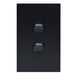 Clouded Leopard 2 Gang Complete Vertical Switch