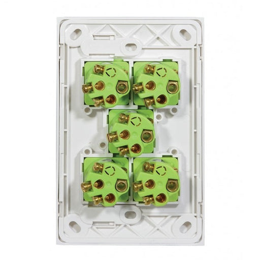 Clouded Leopard 5 Gang Complete Vertical Switch