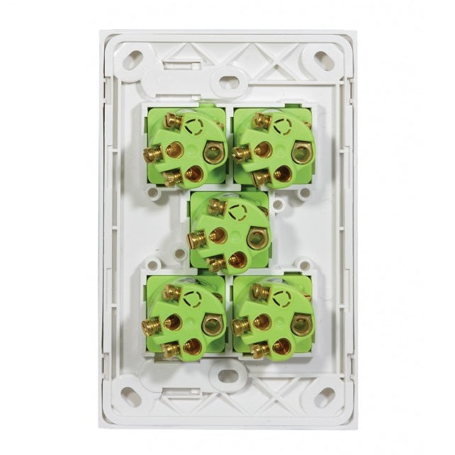 Clouded Leopard 5 Gang Complete Vertical Switch